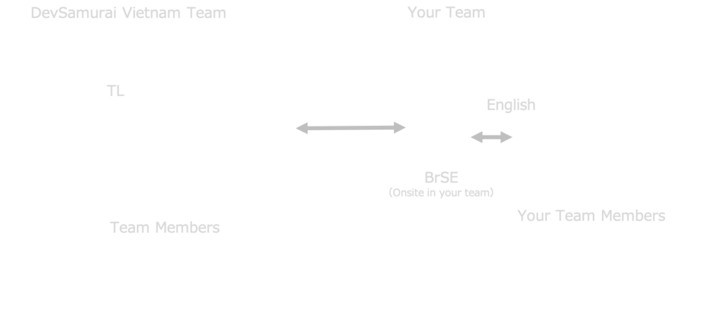 DS_Collaboration_model_2