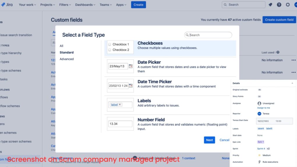 Custom Fields in JIRA