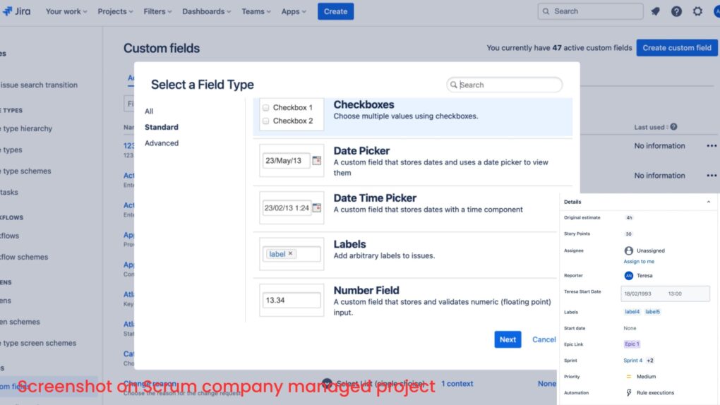 Custom Fields in JIRA