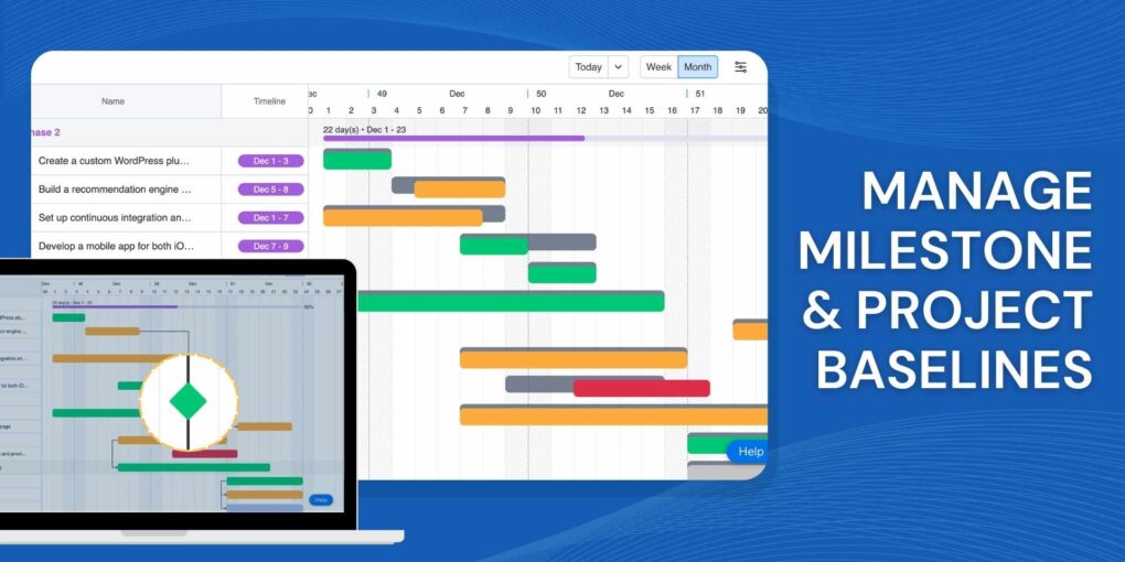 Manage milestone & Project baselines