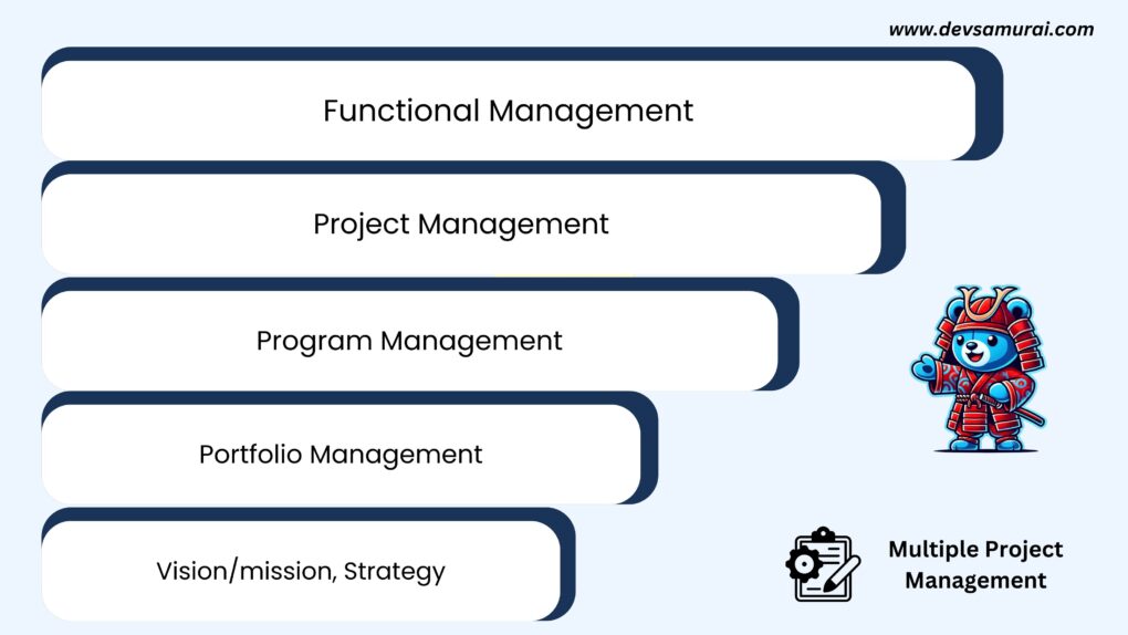 Multiple Project Management